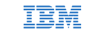 Technology partner